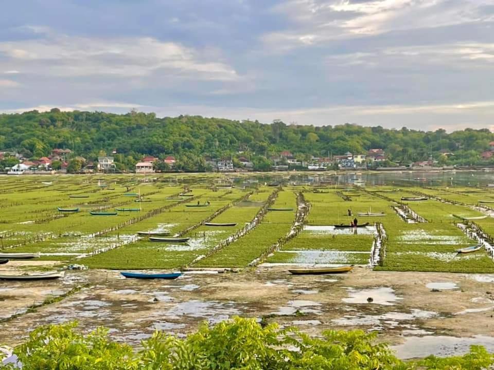 Lebaoh Nusa Cottage نوسا ليمبونغان المظهر الخارجي الصورة